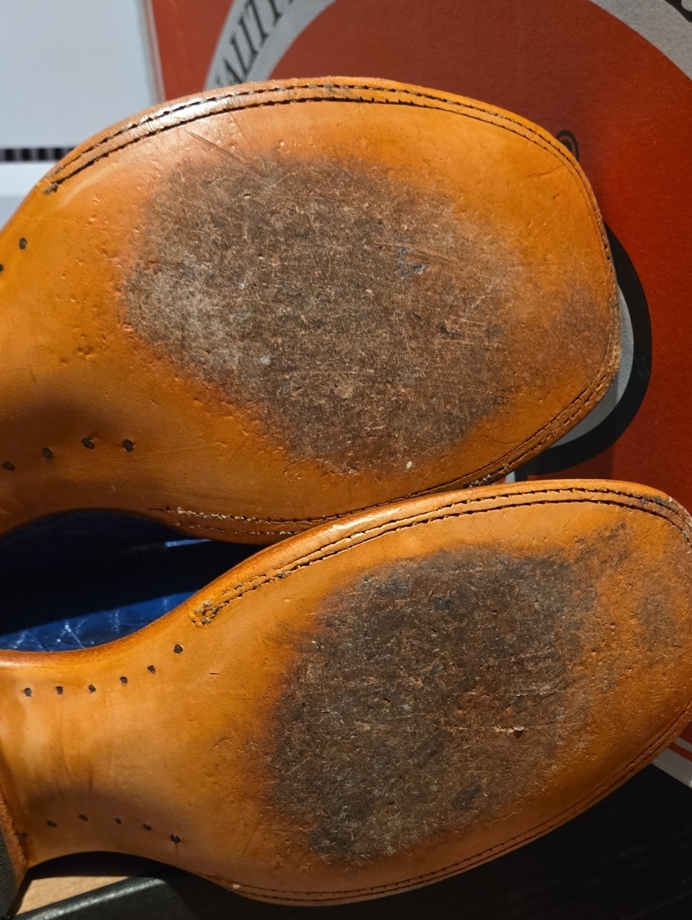 Champion Attitude Blue Genuine Alligator Leather. - Picture 4 of 5
